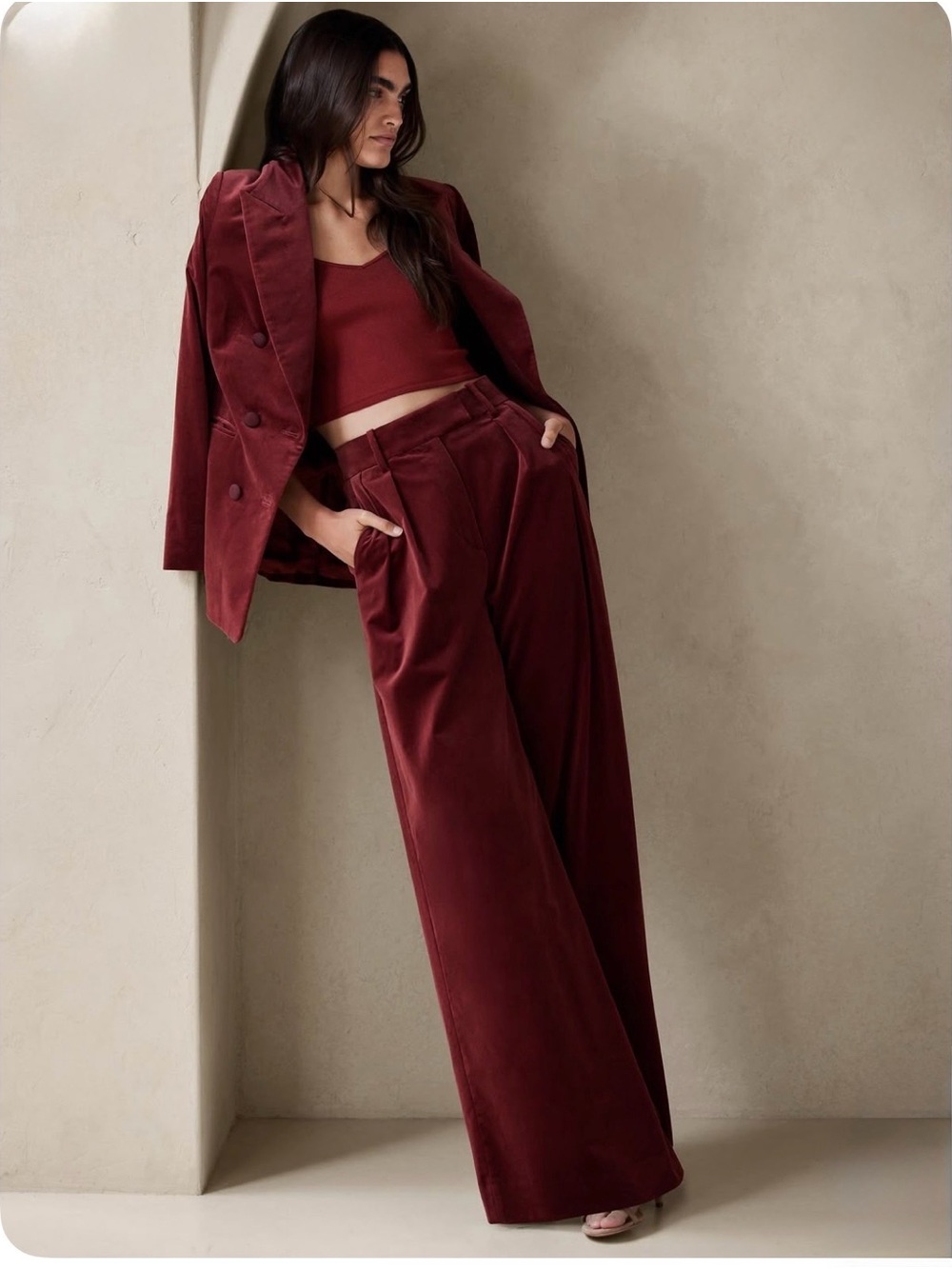 Banana Republic Women’s 4 Burgundy Velvet Wide Leg High Rise Pleated Pants